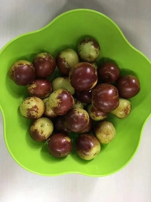 哪里的冬棗最好?山東沾化、河北黃驊、陜西大荔,還是山西、新疆江西或其他地方?