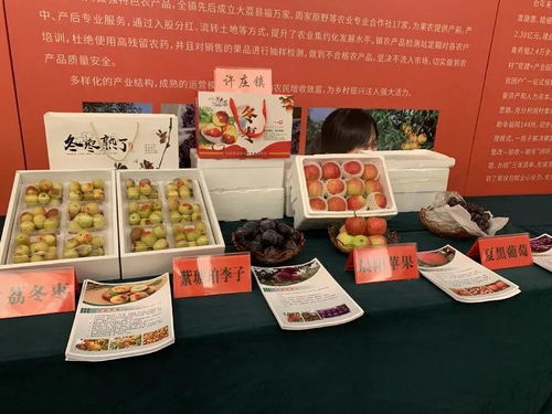 大荔冬棗進軍上海市場 簽訂農(nóng)產(chǎn)品購銷協(xié)議5.3萬噸